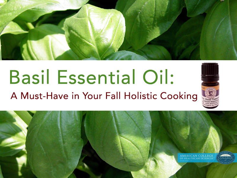 Holistic Nutrition: Eat this Herb - Basil