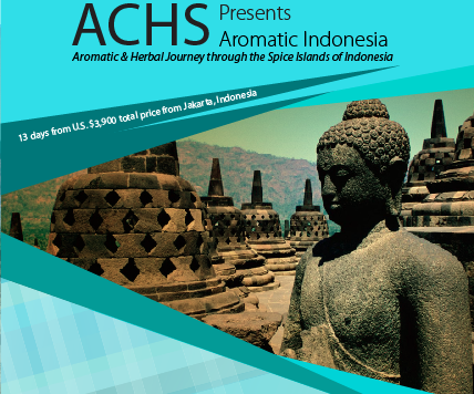 indonesia aromatherapy program brochure