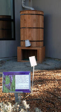 rain barrel