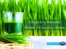 wheatgrass detox fasting detoxing