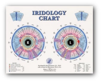 iridology chart