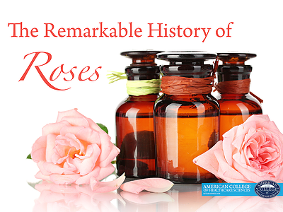 The Remarkable History of Roses