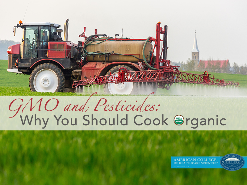GMOs and Pesticides: Why You Should Cook Organic