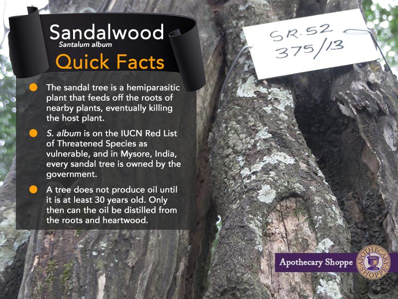 SandalwoodQuickFacts.png?width\u003d571\u0026name\u003dSandalwoodQuickFacts