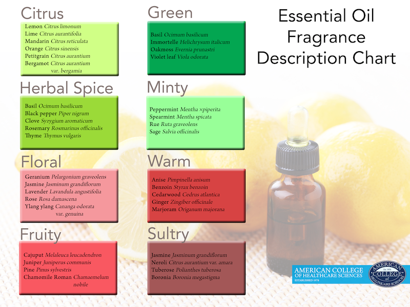Essential Oil Chart Notes