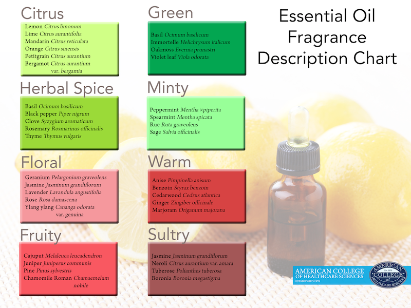 Blending 101 The Art of Pairing Essential Oils Drop by Drop achs.edu