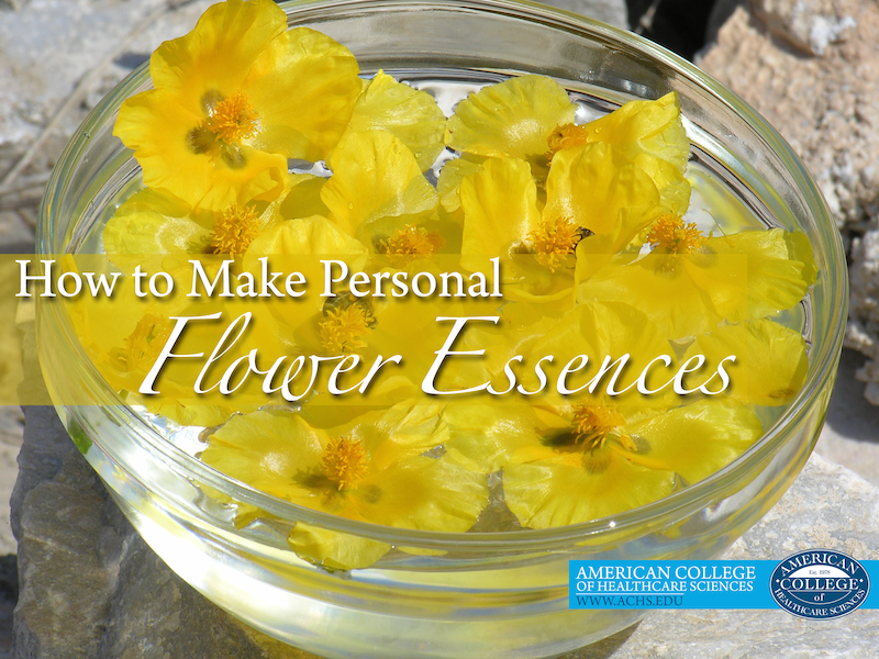 How to Make Personal Flower Essences | achs.edu