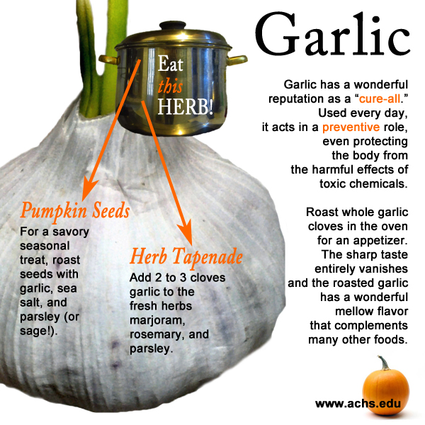 Holistic Nutrition: Eat this Herb - Garlic