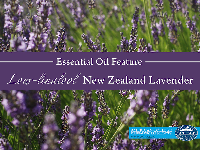 Low-linalool New Zealand Lavender Oil | achs.edu