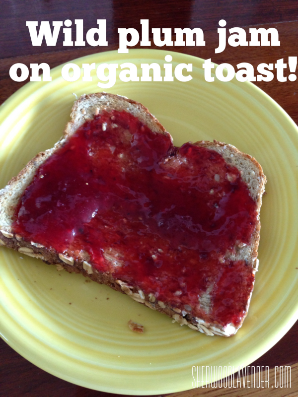 wild plum jam on toast yigzaw resized 600