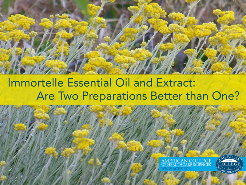 Immortelle Essential Oil and Extract | achs.edu
