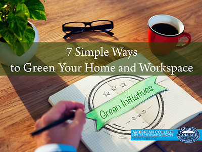 Greener is Healthier: 7 Simple Ways to Green Your Home and Workspace