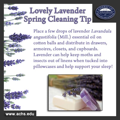 Trade Toxic Cleaners for Natural Essential Oils | achs.edu