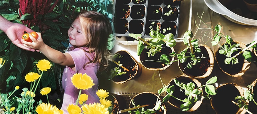 Gardening for Kids Blog Header