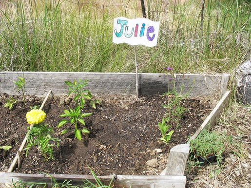 Gillian, Garden Class, Julies plot