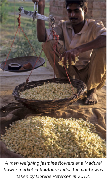 A man weighing jasmine flowers at a Madurai flower market in Southern India, the photo was taken by Dorene Petersen in 2013