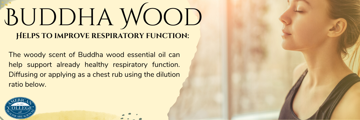 Buddha Wood Helps to improve respiratory function: The woody scent of Buddha wood essential oil can help support already healthy respiratory function. Diffusing or applying as a chest rub using the dilution ratio below.