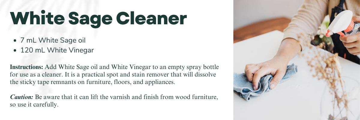 White sage cleaner recipe. 7 mL White Sage oil  120 mL White Vinegar Instructions: Add White Sage oil and White Vinegar to an empty spray bottle for use as a cleaner. It is a practical spot and stain remover that will dissolve the sticky tape remnants on furniture, floors, and appliances.   Caution: Be aware that it can lift the varnish and finish from wood furniture, so use it carefully.