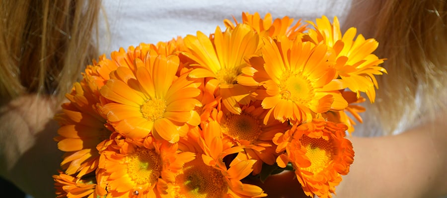 kimberly konkel calendula bouquet