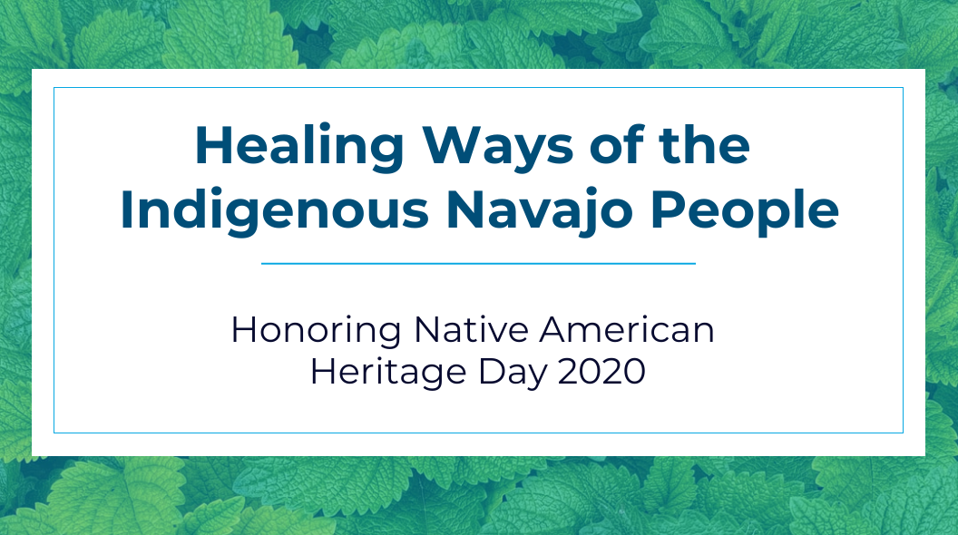 native american heritage day blog header