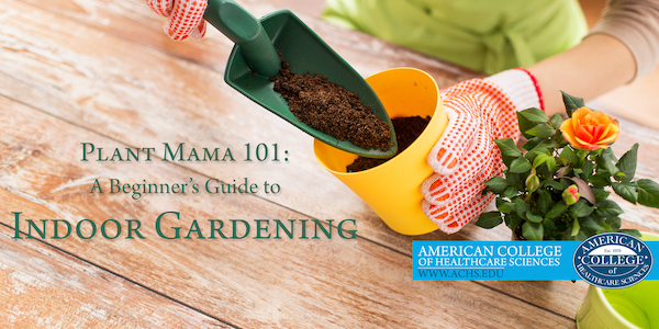 A Beginner's Guide to Indoor Gardening
