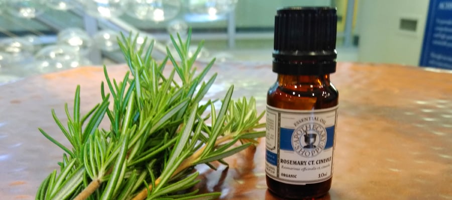 rosemary-essential-oil-and-fresh-herb
