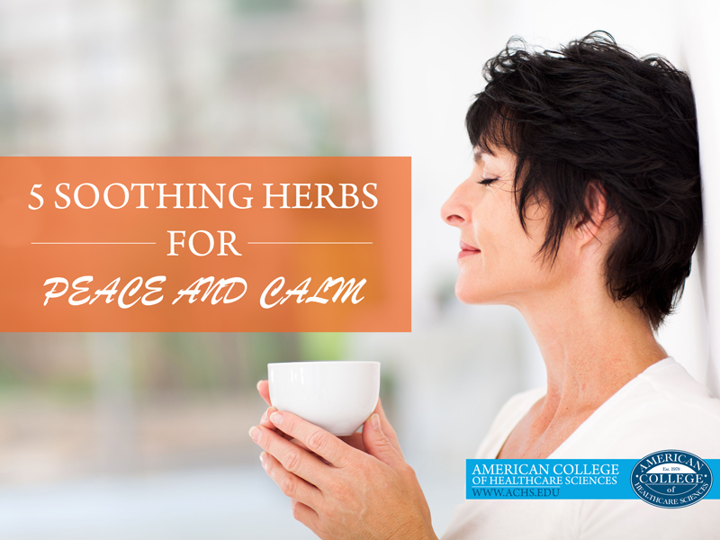 5 Soothing Herbs for Peace and Calm | achs.edu