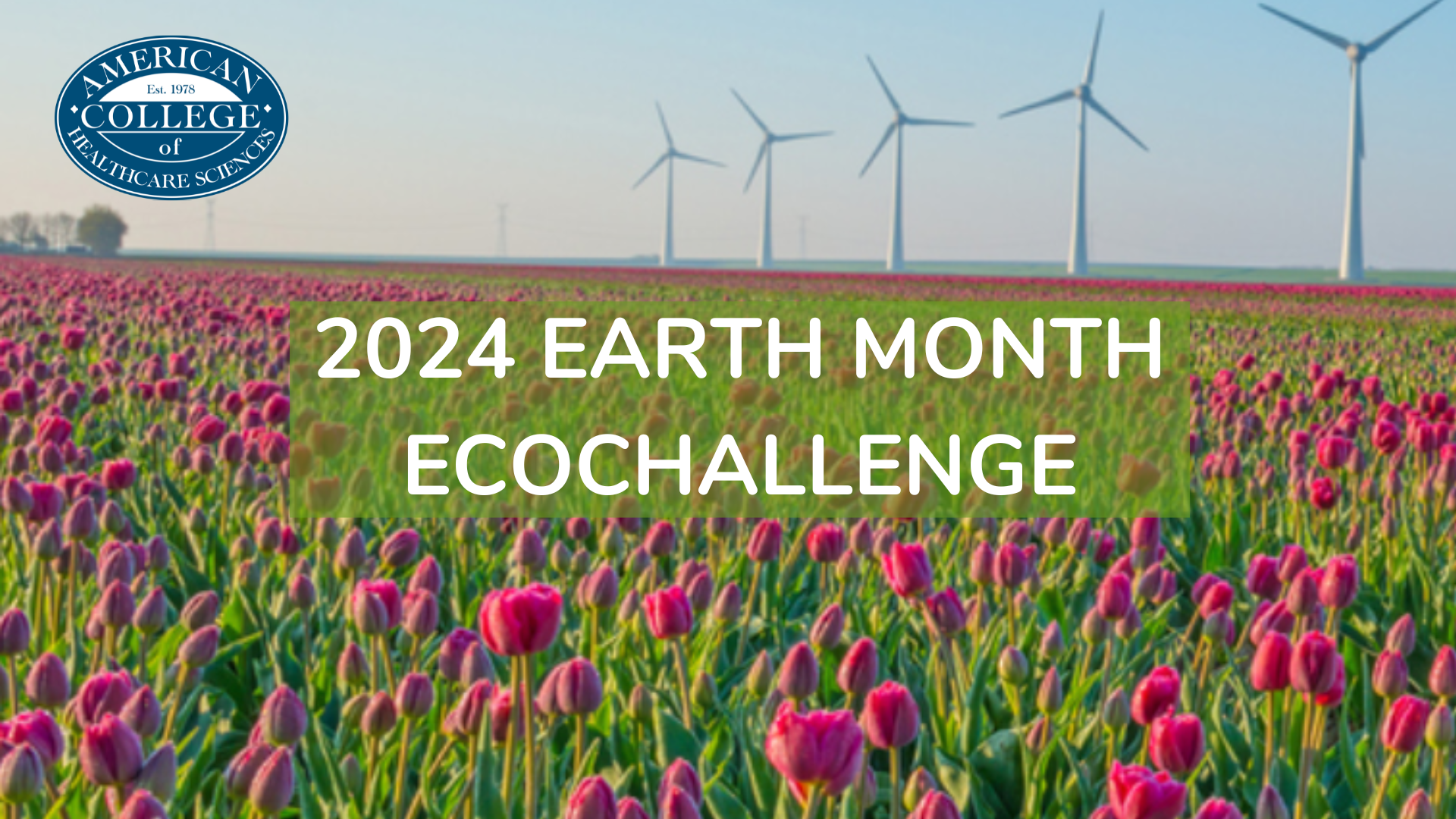 Earth Month Ecochallenge with a field of tulips and windmills