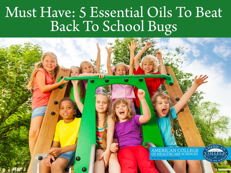 5 Essential Oils To Beat Back To School Bugs | achs.edu