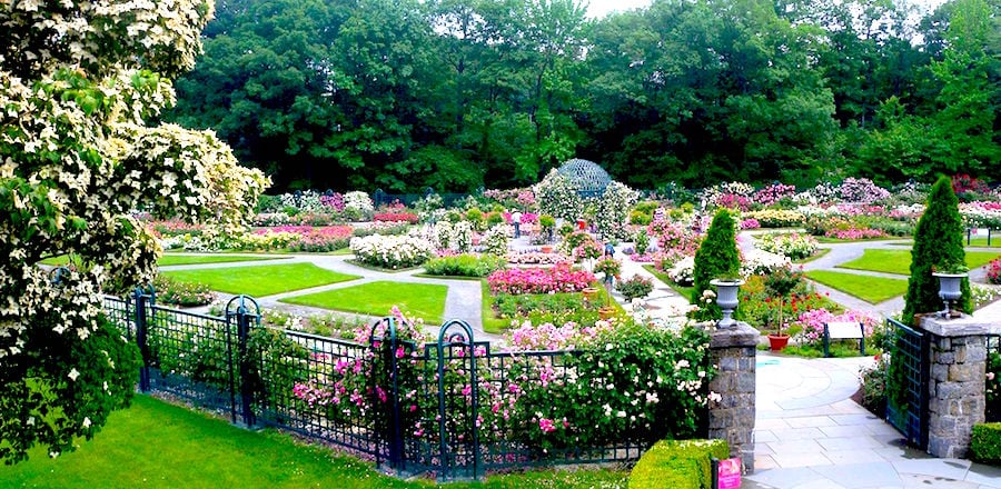 The New York Botanical Garden in the Bronx