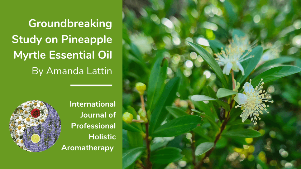 Pineapple Myrtle Case Study in the International Journal of Professional Holistic Aromatherapy