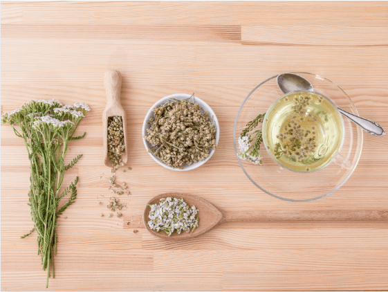 yarrow flowers, yarrow dried herbs, and yarrow tea on a wooden table