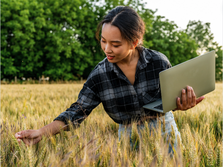 A woman carries a laptop through a wheat field with trees in the background