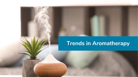 Aromatherapy diffuser and green plant