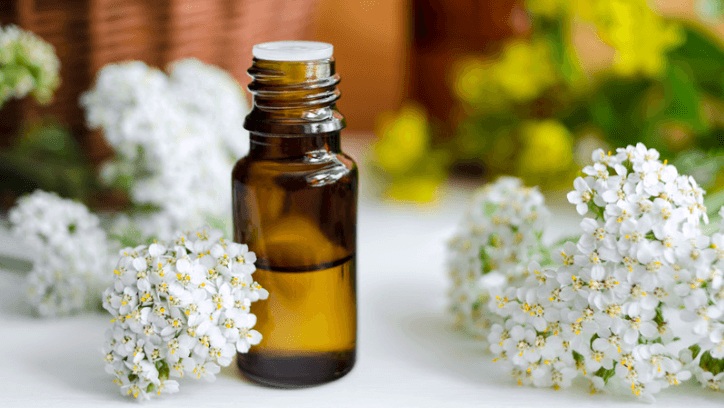 Bottle of yarrow essential oil surrounded by yarrow flowers
