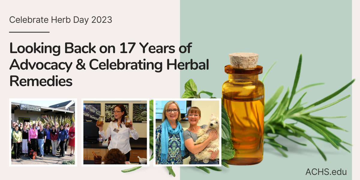 Herb Day 2023 Blog Header