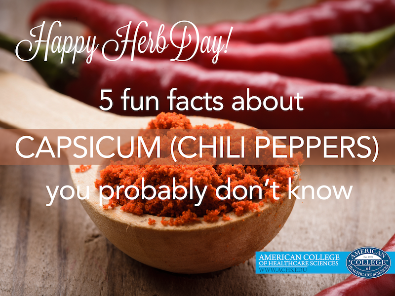 5 Facts About Capsicum | achs.edu